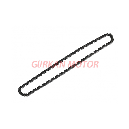EKSANTRİK ZİNCİRİ [100L] CG - WİNDY - TK03