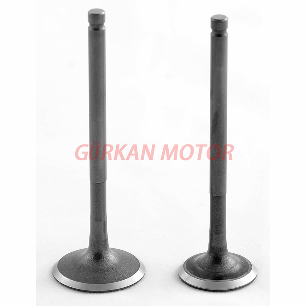 SUBAP TAKIMI FİZY / HUSSAR / MASH / ZAT/ GRACE 202 / NOVAX 200 /[TIRNAKLI] [VTC]