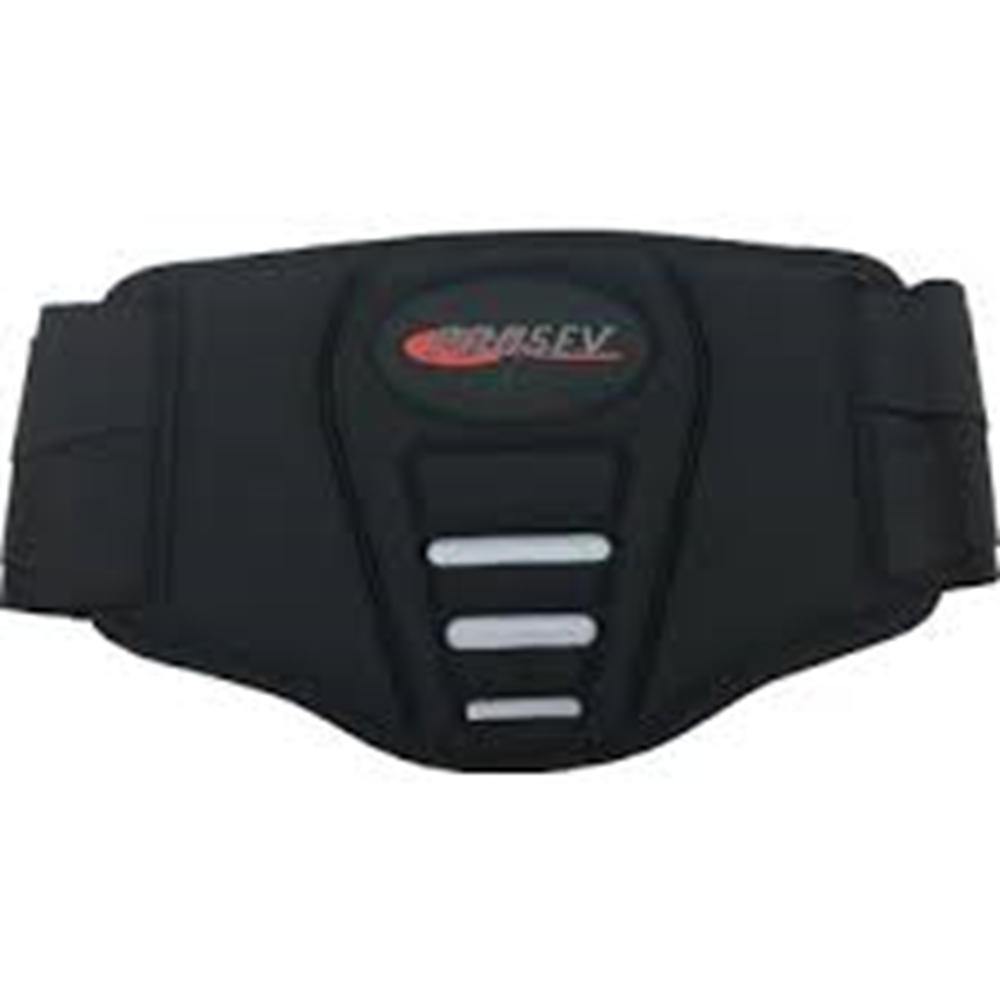 MOTOR BELLİK KORUMA