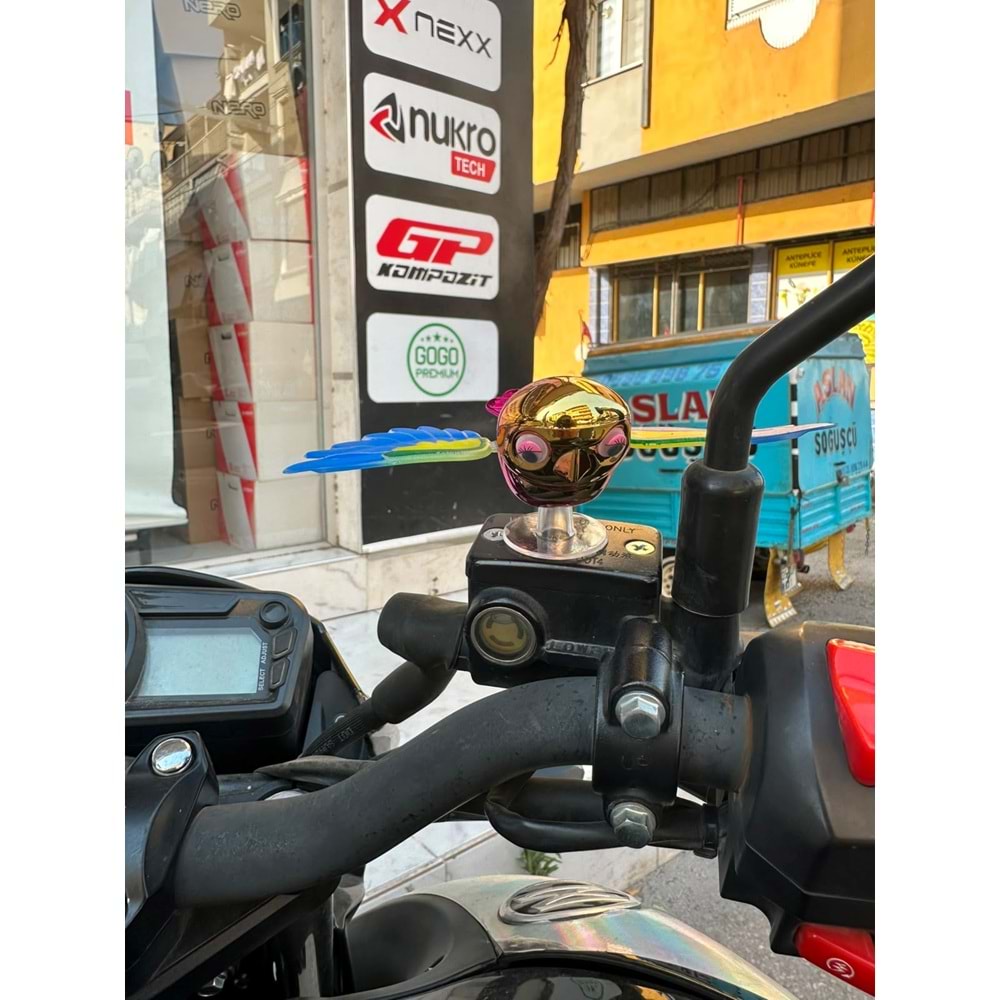 DİREKSİYON KUŞ