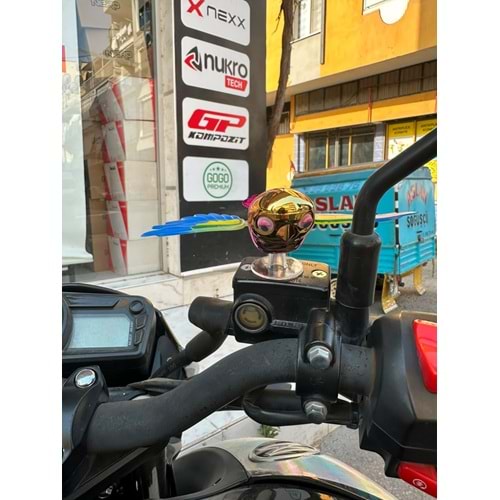 DİREKSİYON KUŞ