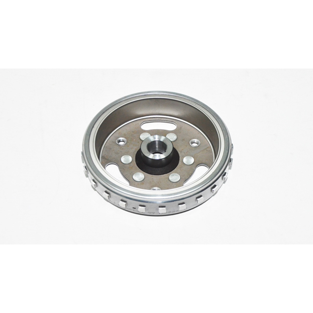 MANYETO TASI ROTOR (SPONTINI110) PRIVATE